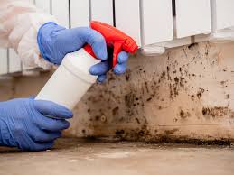 Mold Odor Removal Services in Florida City, FL